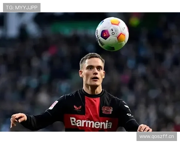 维尔茨：组织核心到终结参与者的角色进化与数据解析