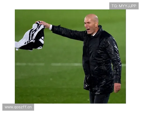 赖斯与菲利普斯：双后腰战术适配与分工差异解析