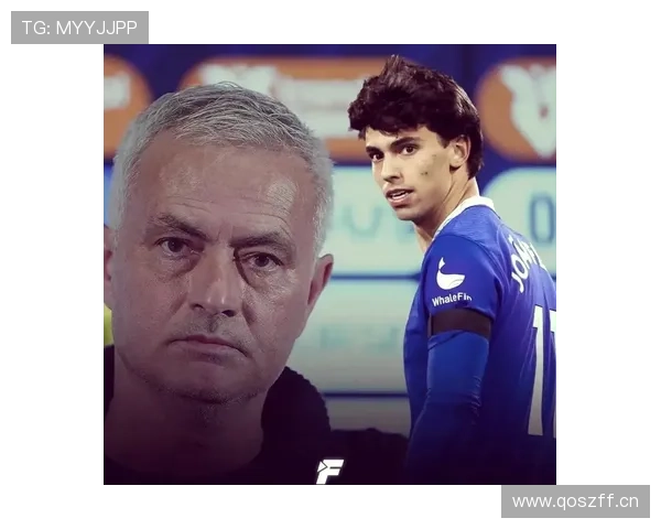 菲利克斯金童奖含金量分析